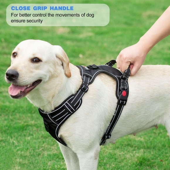 tobeDRI Small Dog Harness - Picture 6 of 6
